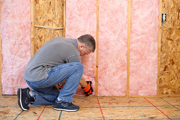 Best Cellulose Insulation in Conning Towers Nautilus Park, CT